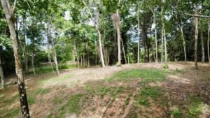 Photo-19-5-24-2-00-40 PM